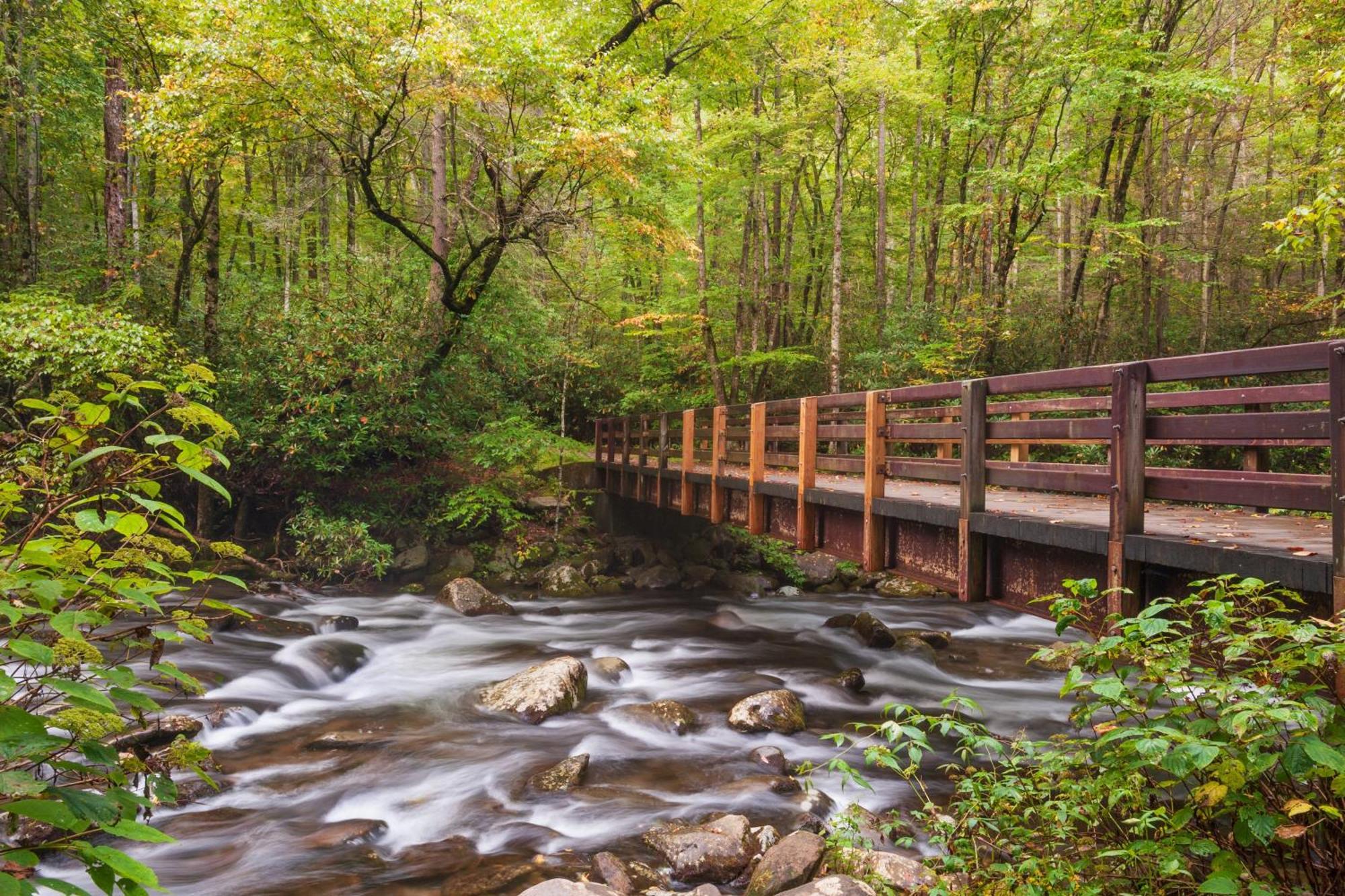 The Mason Jar, Hot Tub, Wifi, 1089 Free Tickets Each Paid Day, Dollywood And More! Pigeon Forge Luaran gambar